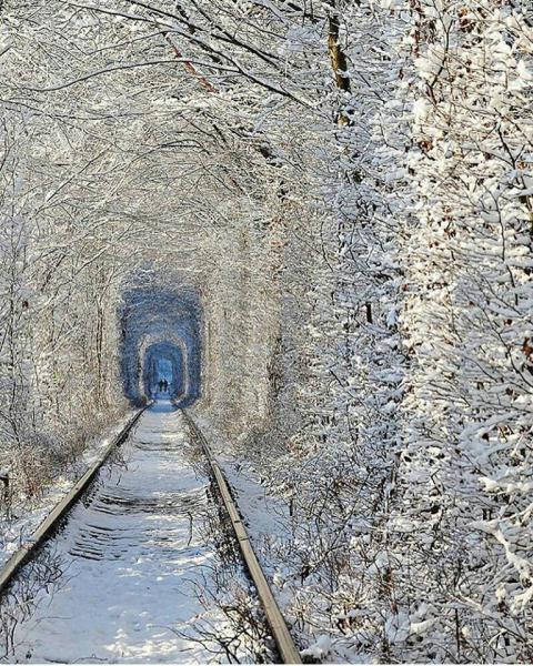 Тунель любові. Тонель любви. Украина.
