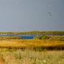 Лебяжьи острова - орнитологический филиал Крымского природного заповедника 